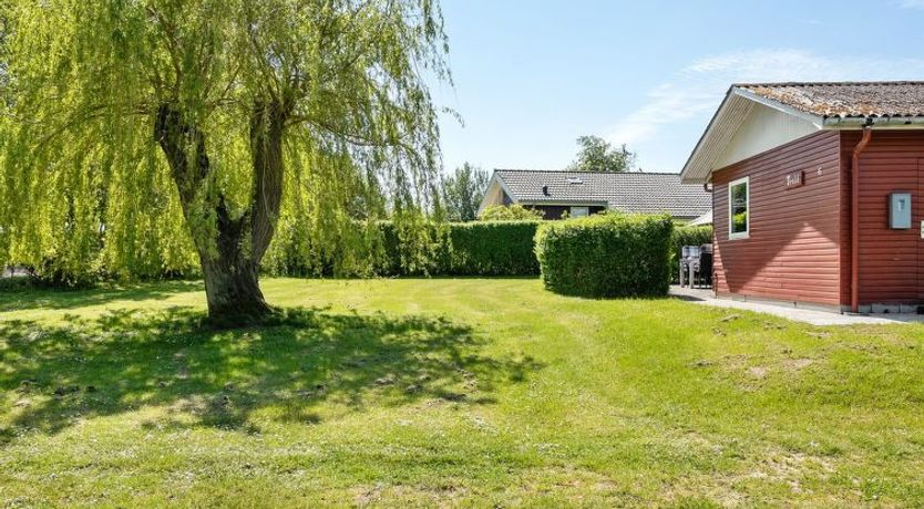 Photo of "Momo" - 570m from the sea