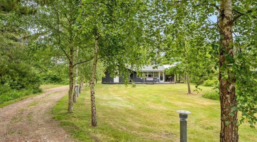 Photo of "Dagino" - 500m from the sea