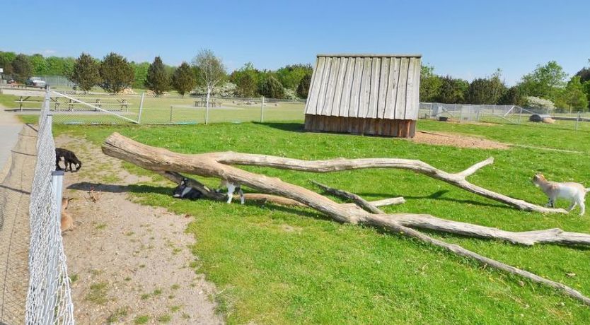 Photo of "Aviaja" - 12km from the sea