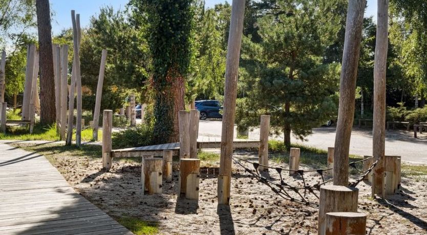 Photo of "Sophy" - 150m from the sea