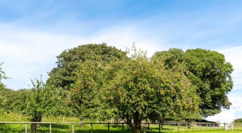 Photo of Meadow Lodge 2