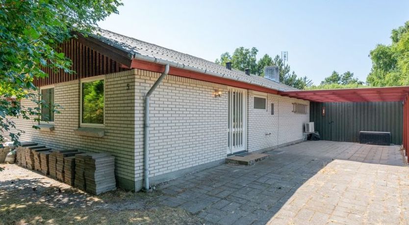 Photo of "Sitta" - 400m from the sea