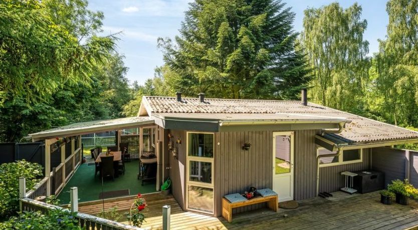 Photo of "Meo" - 30km from the sea