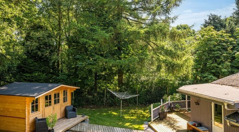 Photo of "Meo" - 30km from the sea