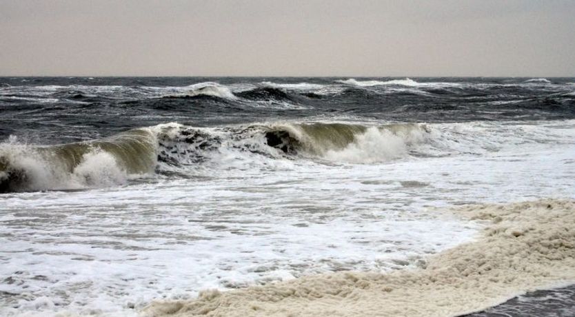 Photo of "Werna" - 800m from the sea