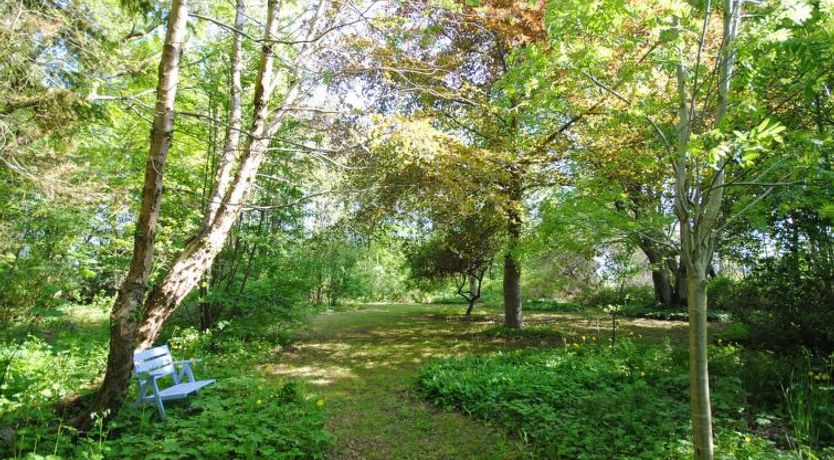 Photo of "Mandana" - 10km to the fjord