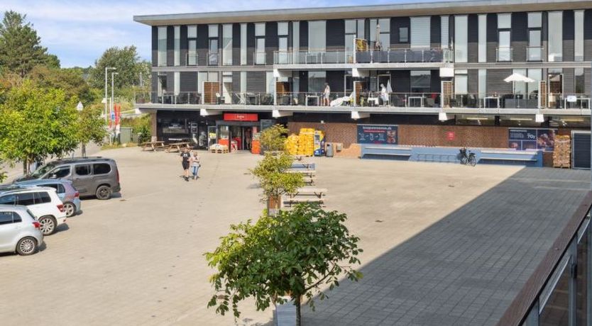 Photo of "Kimi" - 100m from the sea