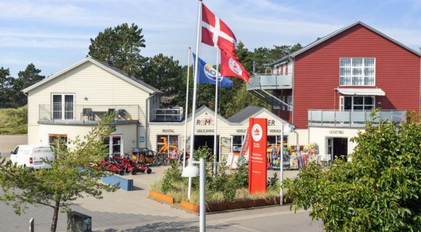 Photo of "Kimi" - 100m from the sea