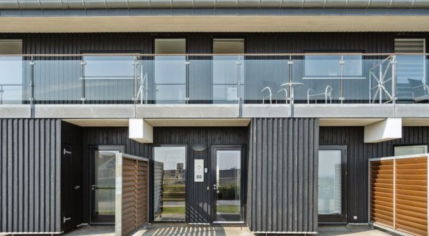 Photo of "Kimi" - 100m from the sea