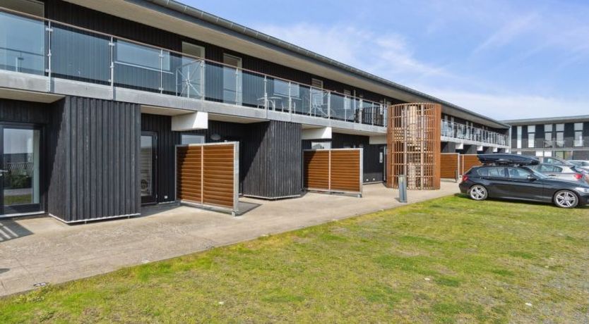 Photo of "Kimi" - 100m from the sea