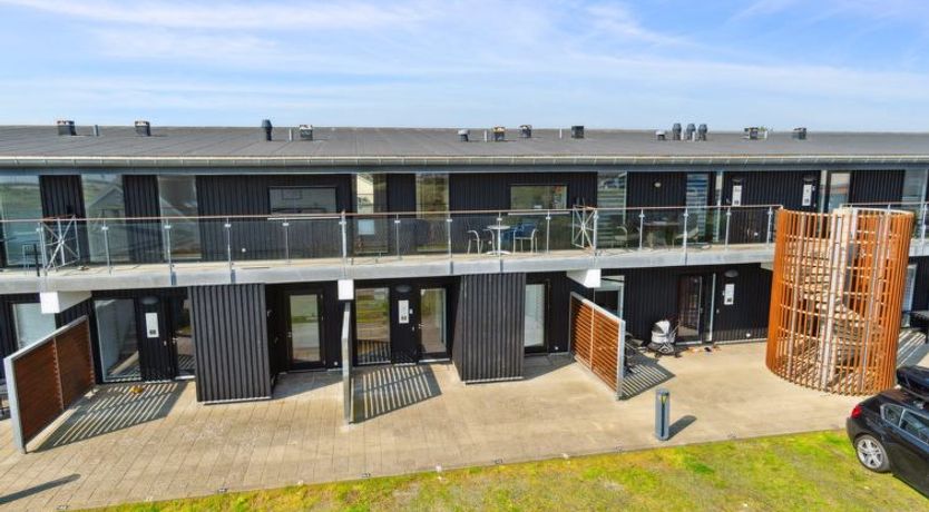 Photo of "Kimi" - 100m from the sea