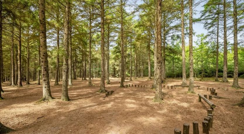 Photo of "Sylwia" -  from the sea