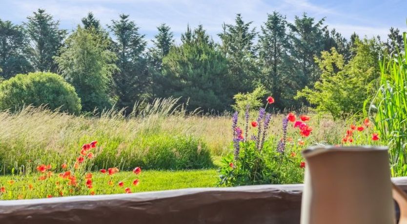 Photo of "Elsia" - 1.5km to the fjord