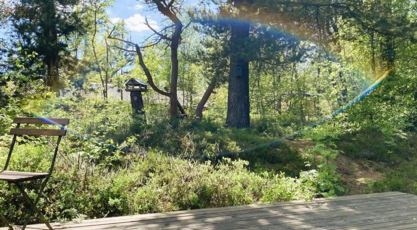 Photo of "Hilde" - 350m to the fjord