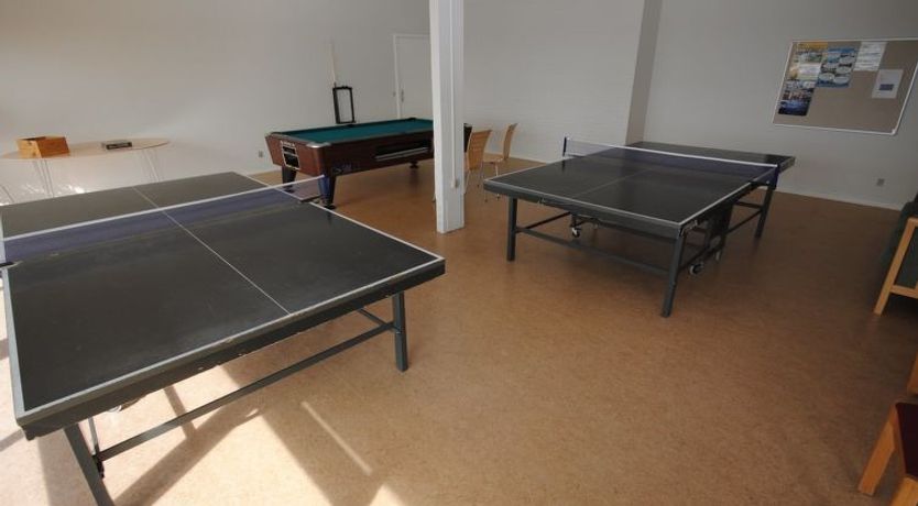 Photo of "Milly" - 150m to the fjord