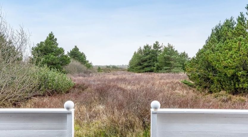 Photo of "Elpida" - 2km from the sea