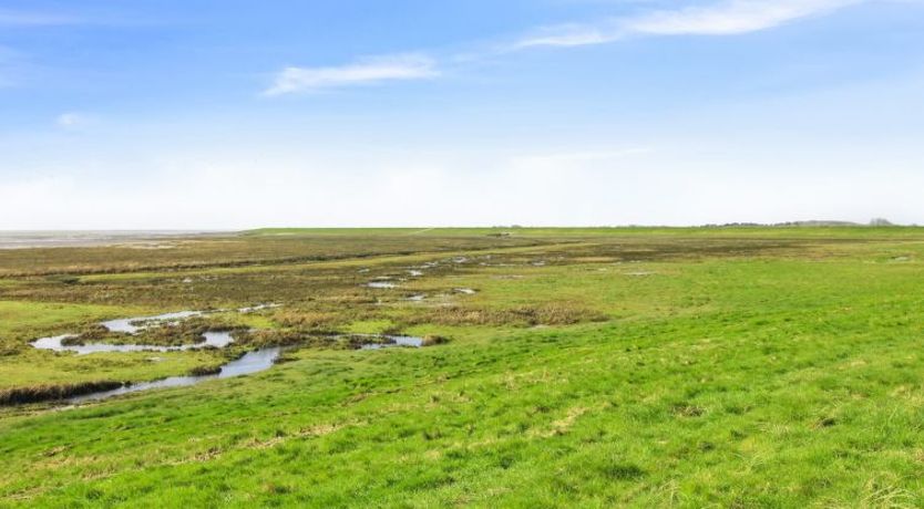 Photo of "Stefani" - 2km from the sea