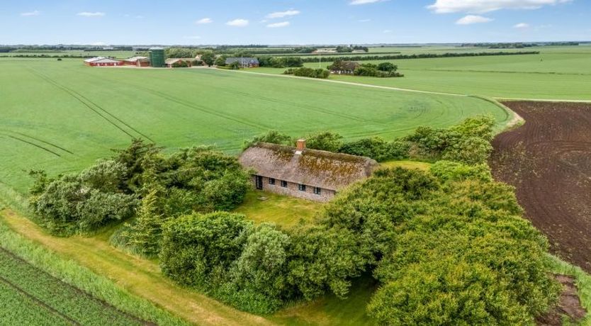 Photo of "Claus" - 1.5km to the fjord