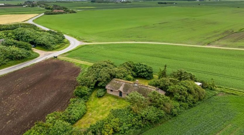 Photo of "Claus" - 1.5km to the fjord