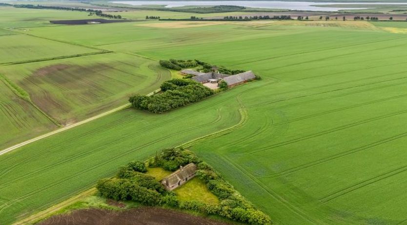 Photo of "Claus" - 1.5km to the fjord