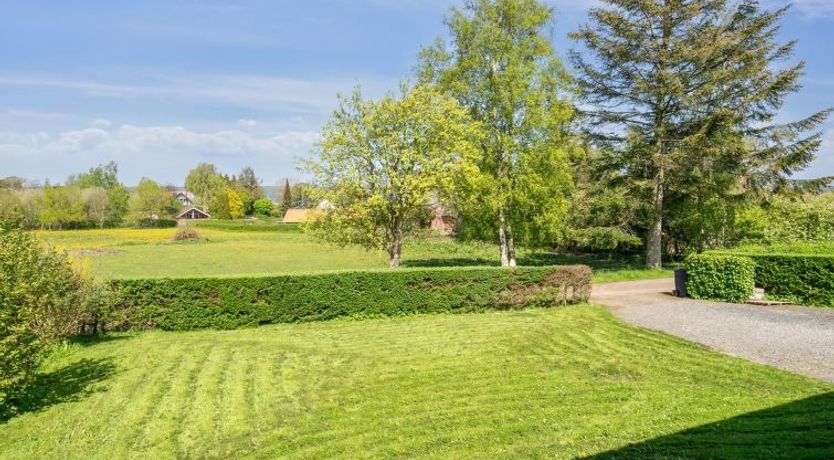 Photo of "Sölvy" - 300m from the sea