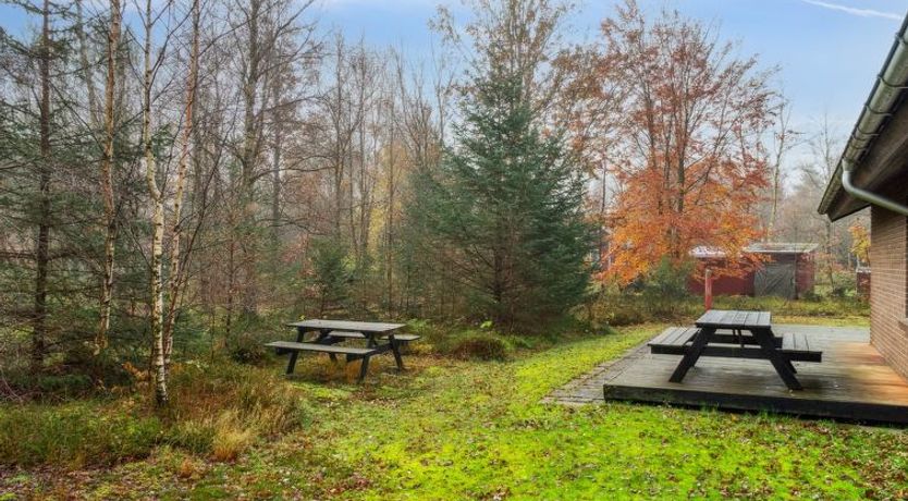 Photo of "Patrik" - 200m to the fjord