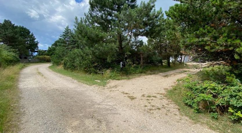 Photo of "Wiger" - 150m from the sea