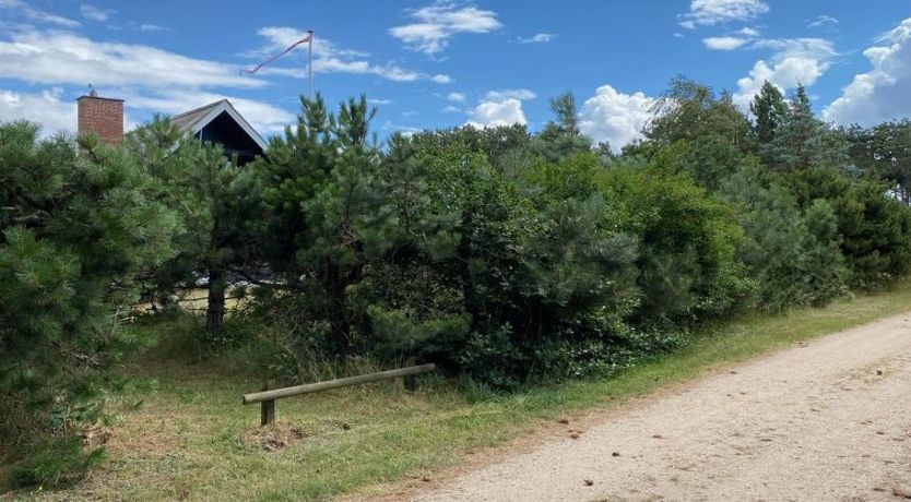 Photo of "Wiger" - 150m from the sea