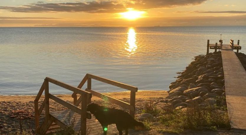 Photo of "Alpa" - 600m from the sea