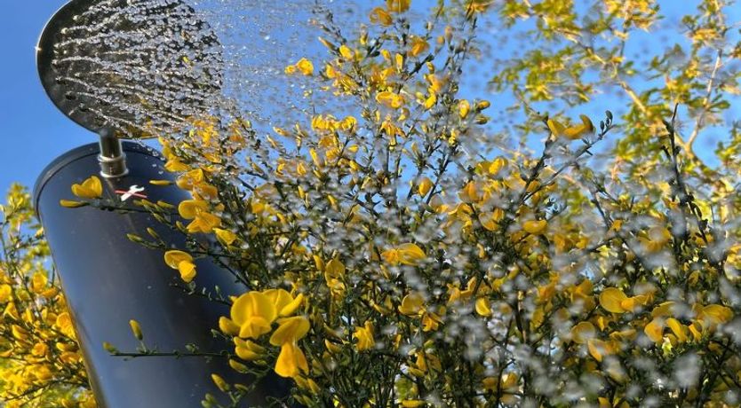 Photo of "Asta" - 1km from the sea