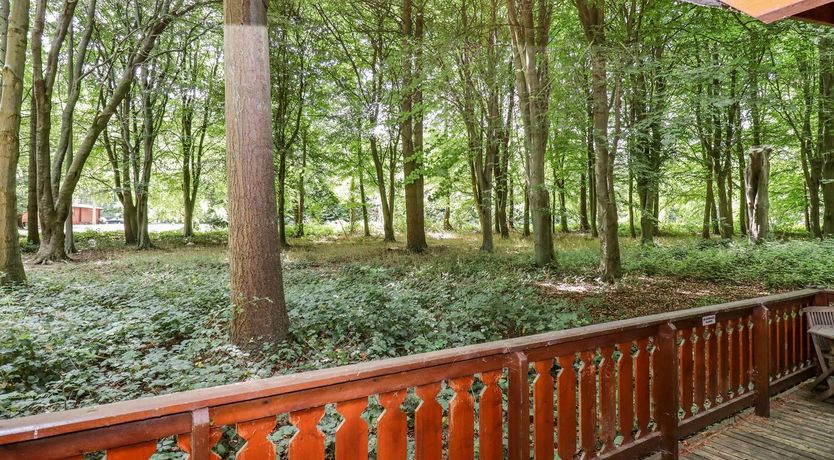 Photo of Bamboo Retreat