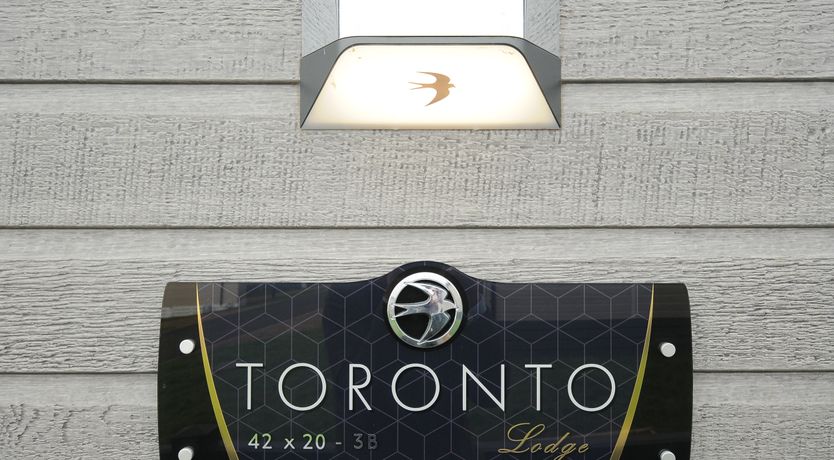 Photo of Toronto Swift