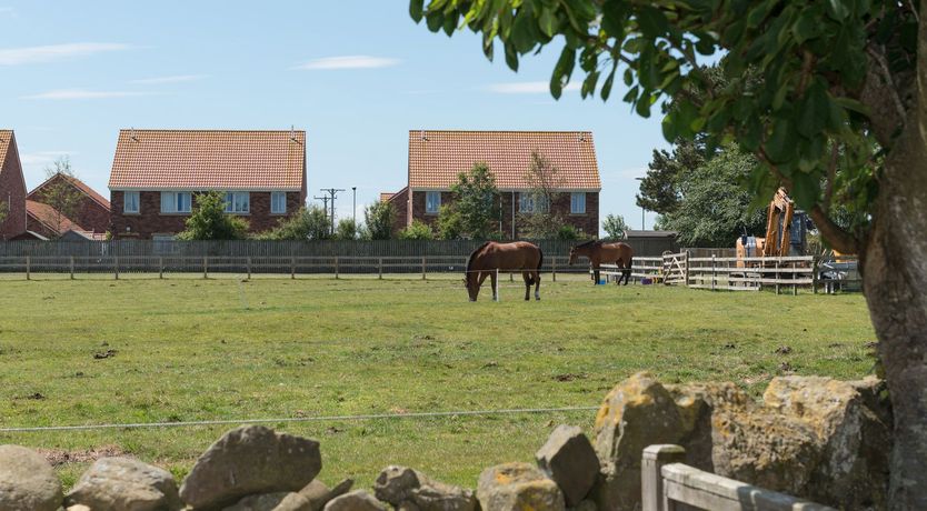 Photo of Lavender Cottage