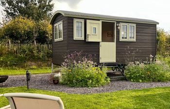 Cynefin Shepherds Hut Holiday Home