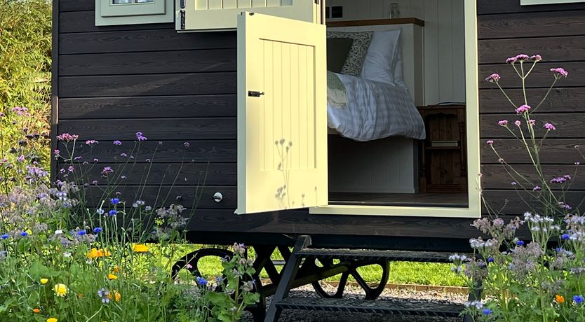 Photo of Cynefin Shepherds Hut