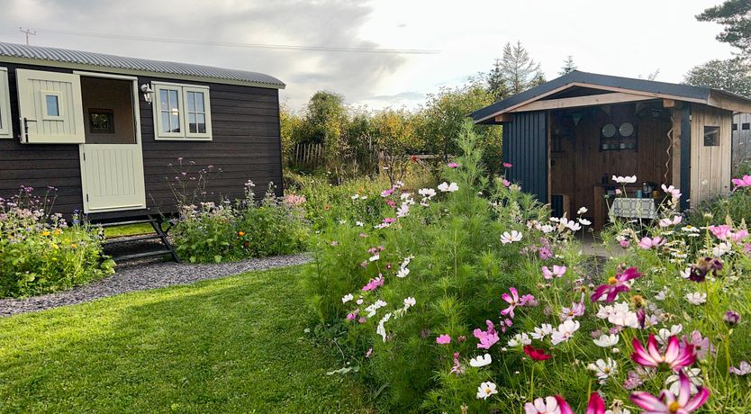 Photo of Cynefin Shepherds Hut