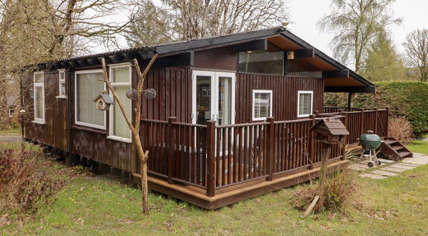 Photo of The Bird House