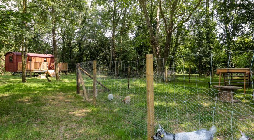 Photo of The Foxes Den Shepherds Hut