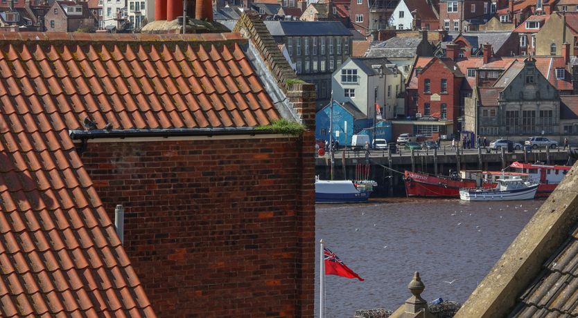 Photo of Wobble Pops