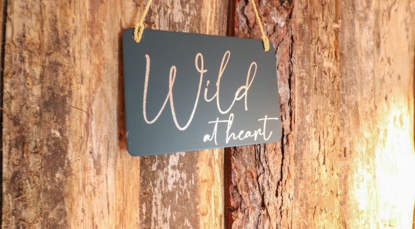 Photo of The Lazy Squire by The Water