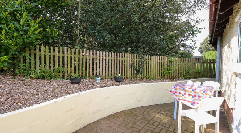 Photo of Paws-A-While