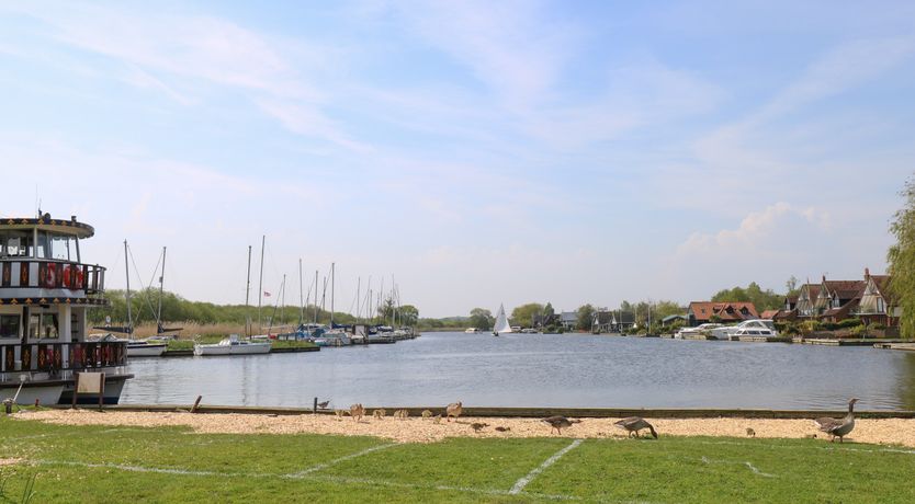 Photo of Paws-A-While