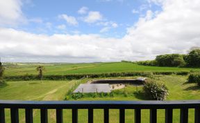 Photo of Hawthorn at Moorhead Country Holidays