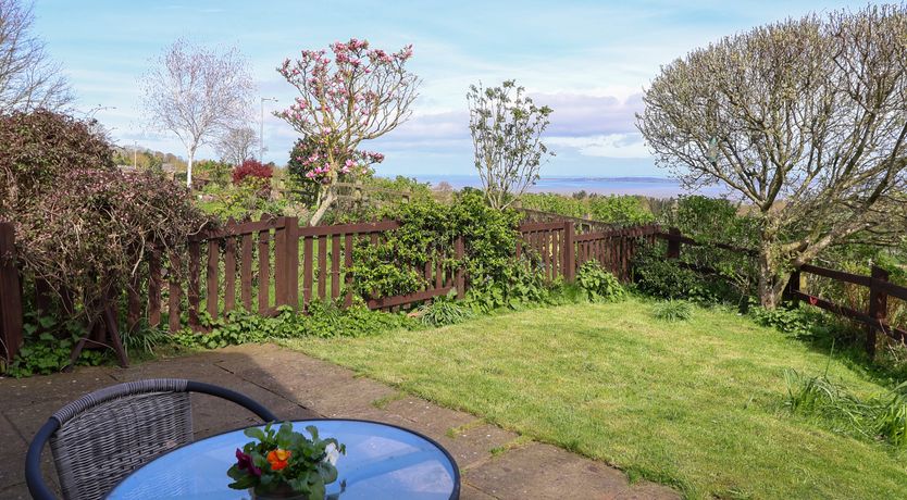 Photo of Dolphin Bach