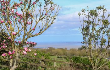 Dolphin Bach Holiday Home