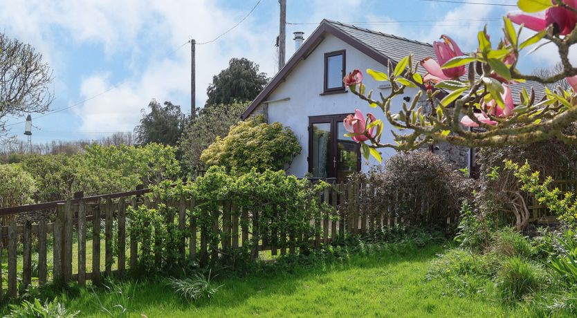 Photo of Dolphin Bach