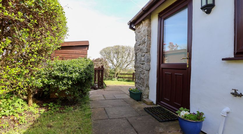 Photo of Dolphin Bach