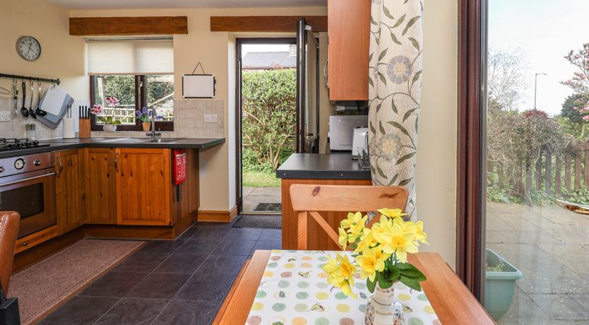 Photo of Dolphin Bach