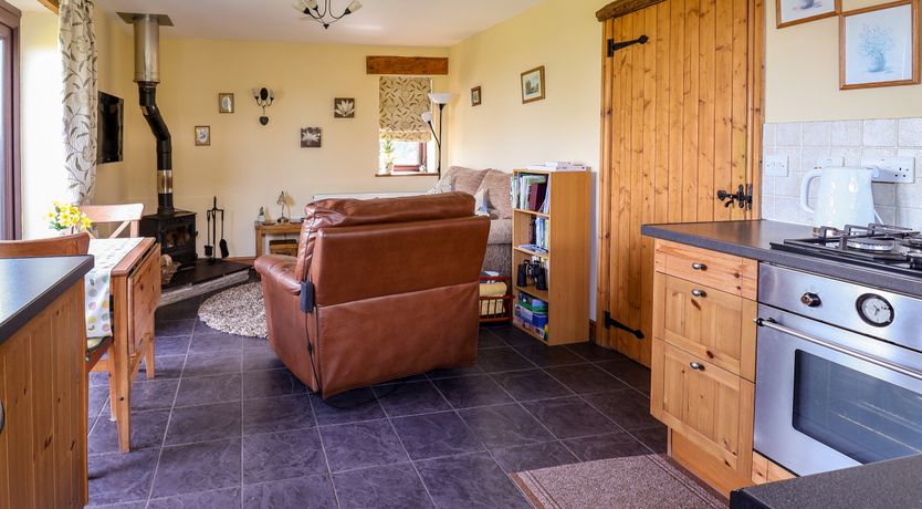 Photo of Dolphin Bach