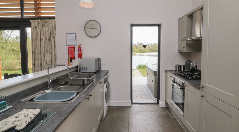 Photo of Silver Birch